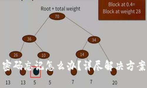 TP钱包交易密码忘记怎么办？详尽解决方案与注意事项