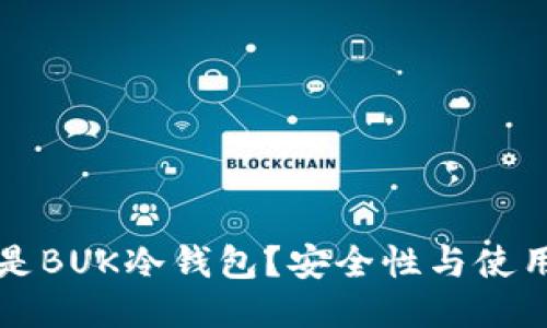 什么是BUK冷钱包？安全性与使用指南