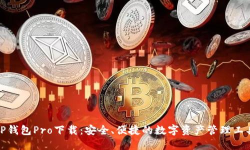 tP钱包Pro下载：安全、便捷的数字资产管理工具