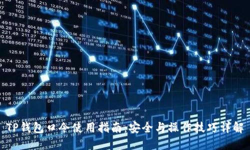 TP钱包口令使用指南：安全与操作技巧详解