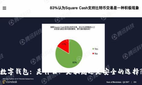数字钱包: 是什么? 是骗局还是安全的选择?