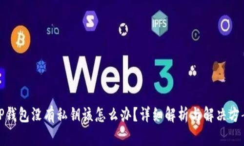 TP钱包没有私钥该怎么办？详细解析与解决方案