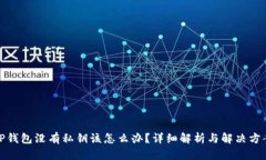 TP钱包没有私钥该怎么办？详细解析与解决方案