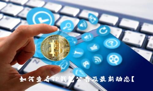 如何查看TP钱包公告及最新动态？
