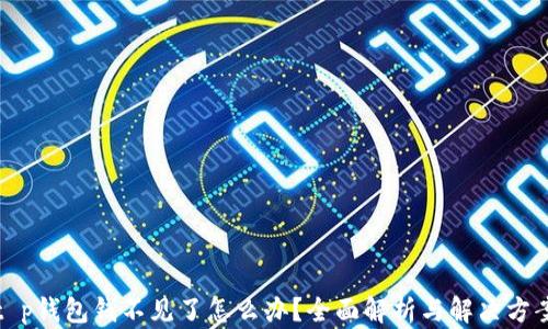 
t p钱包钱不见了怎么办？全面解析与解决方案