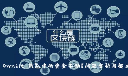 为何 Ownbit 钱包中的资金不动？问题分析与解决方案