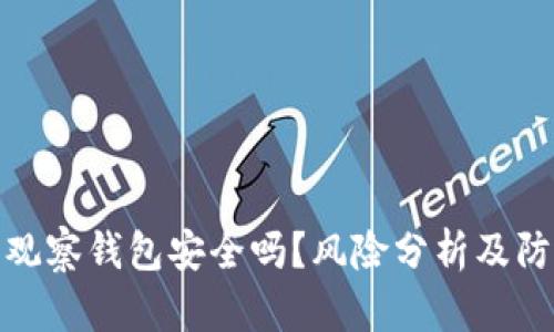 tP钱包观察钱包安全吗？风险分析及防范措施