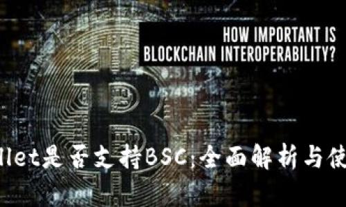 TP Wallet是否支持BSC：全面解析与使用指南