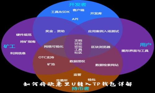 如何将欧意里U转入TP钱包详解