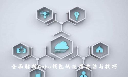 全面解析Cobo钱包的使用方法与技巧