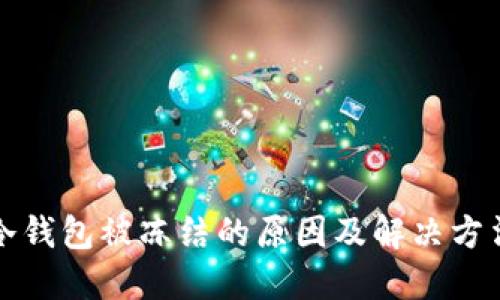 冷钱包被冻结的原因及解决方法