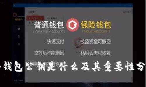 冷钱包公钥是什么及其重要性分析