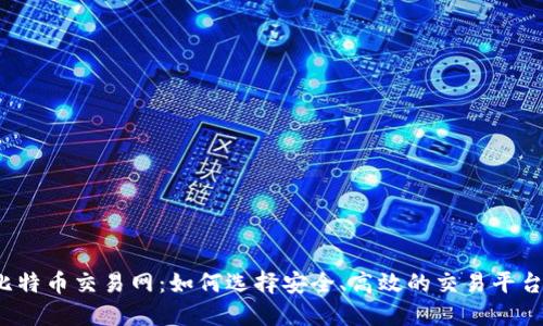 比特币交易网：如何选择安全、高效的交易平台？