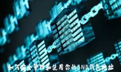 如何安全管理和使用你的BNB钱包地址