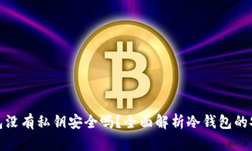 冷钱包没有私钥安全吗？全面解析冷钱包的安全性
