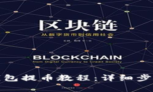 TP观察钱包提币教程：详细步骤与技巧