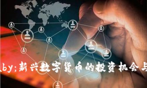 虚拟币Baby：新兴数字货币的投资机会与风险分析