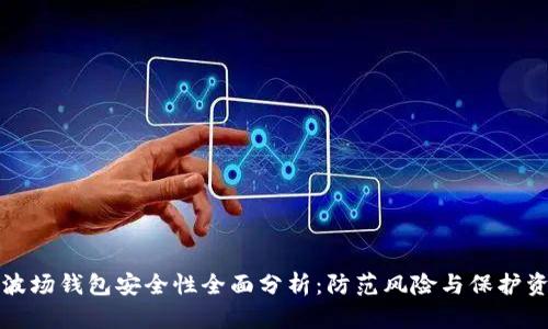 TP波场钱包安全性全面分析：防范风险与保护资产