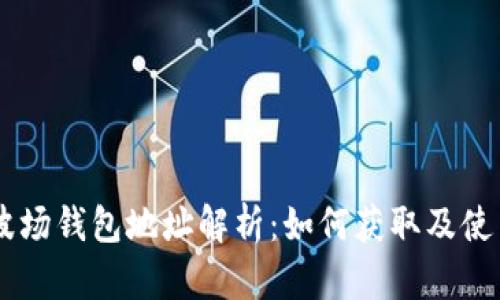  TRX波场钱包地址解析：如何获取及使用指南