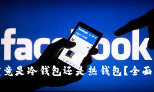 波点钱包究竟是冷钱包还是热钱包？全面解析与对比
