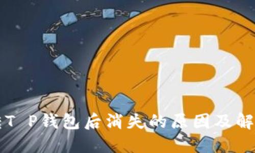 货币转T P钱包后消失的原因及解决方法