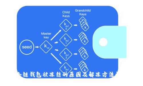 冷链钱包被冻结的原因及解冻方法详解