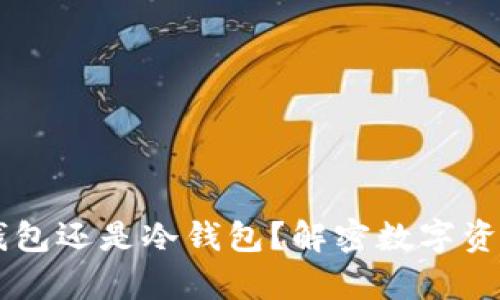 交易所私钥是热钱包还是冷钱包？解密数字资产的安全存储方式