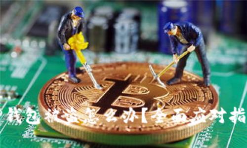 TP钱包被盗怎么办？全面应对指南