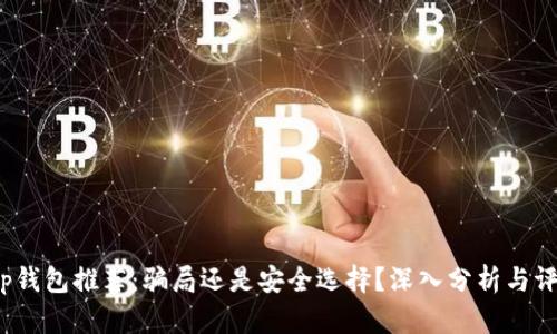 t p钱包推荐：骗局还是安全选择？深入分析与评测