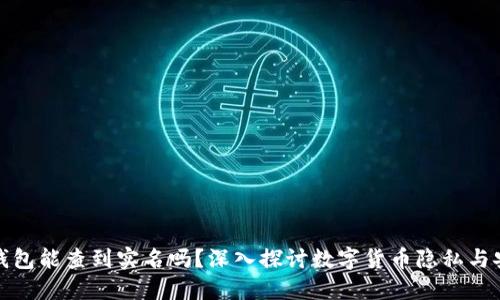 冷钱包能查到实名吗？深入探讨数字货币隐私与安全