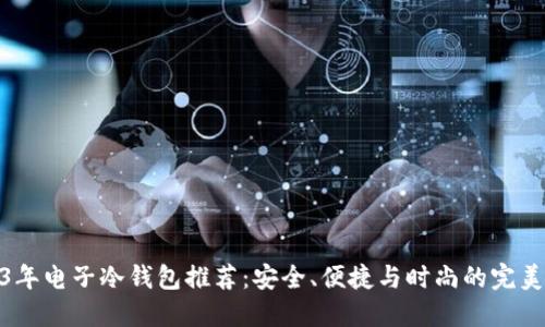 2023年电子冷钱包推荐：安全、便捷与时尚的完美组合